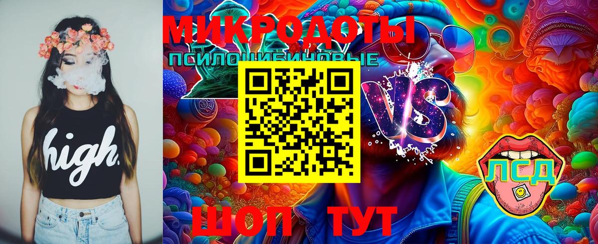 Псилоцибиновые грибы ЛСД Гатчина