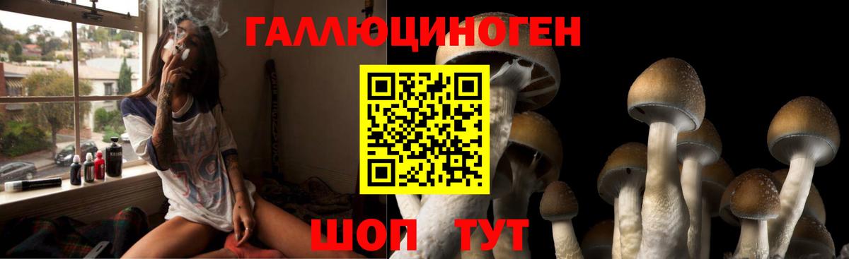 Галлюциногенные грибы Magic Shrooms  Вход с VPN  Гатчина  Псилоцибиновые грибы Magic Shrooms 