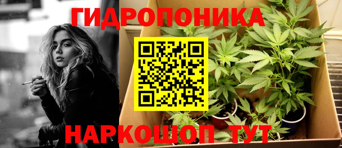 Марихуана Bruce Banner  Бошки Шишки SATIVA & INDICA  Канабис тримм  Конопля THC 21%  Гатчина  Вход с VPN 